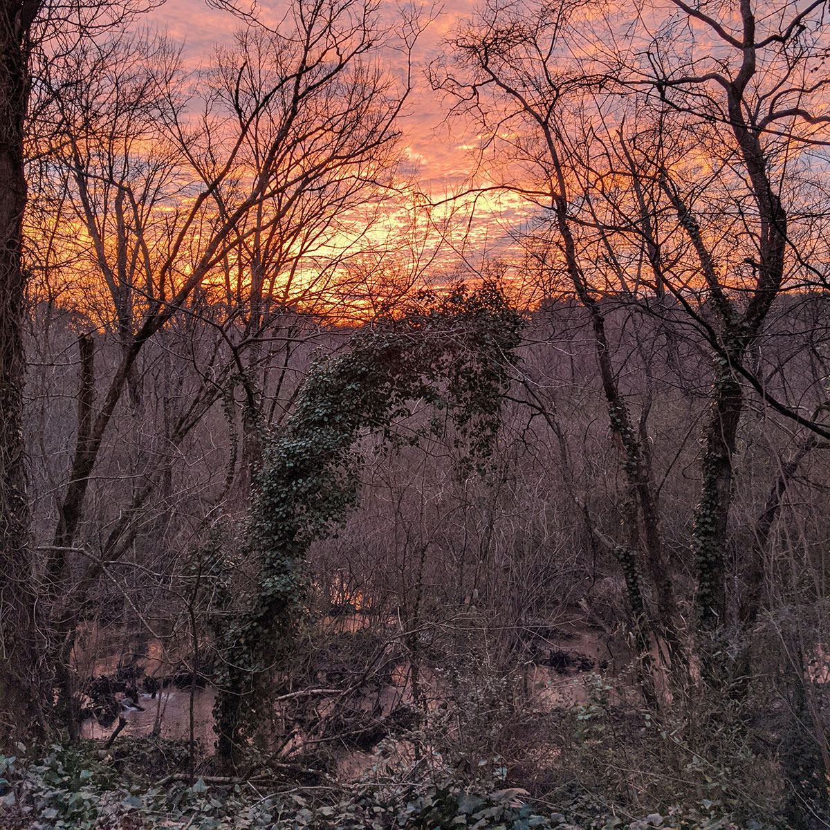Photo of Sunset at Rubes Creek, Georgia